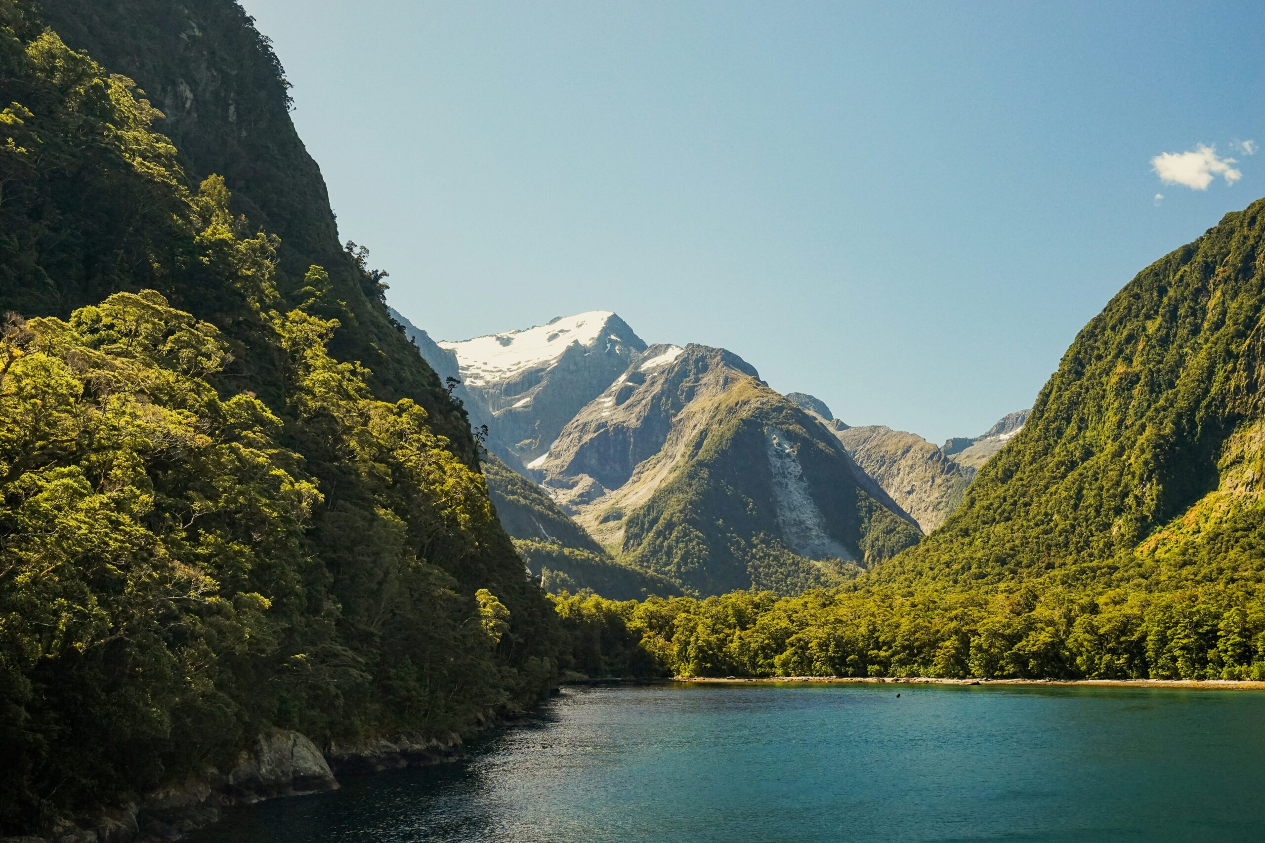 Milford Sound Fiordland New Zealand