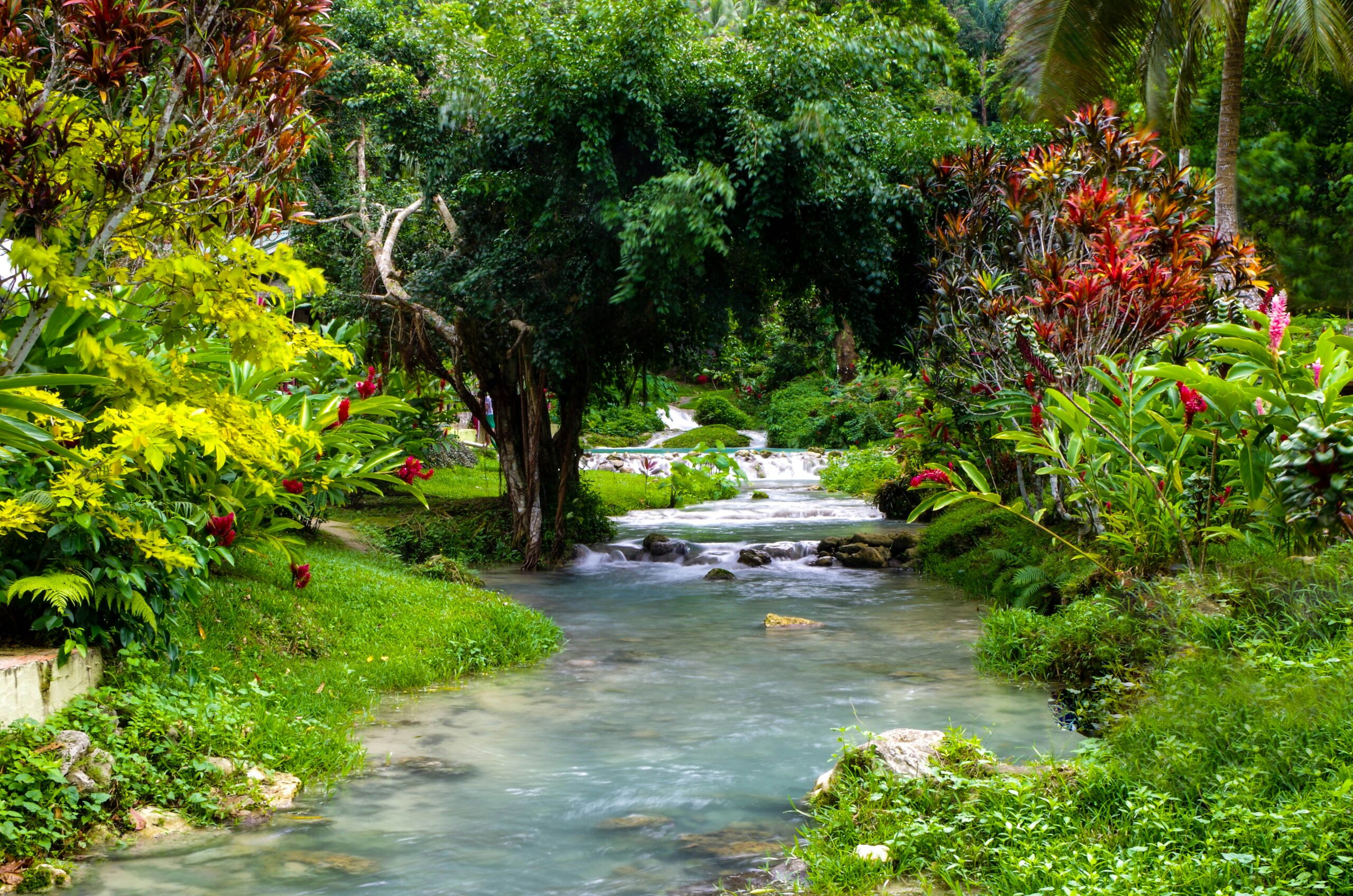 Vanuatu coastline Melanesia charter