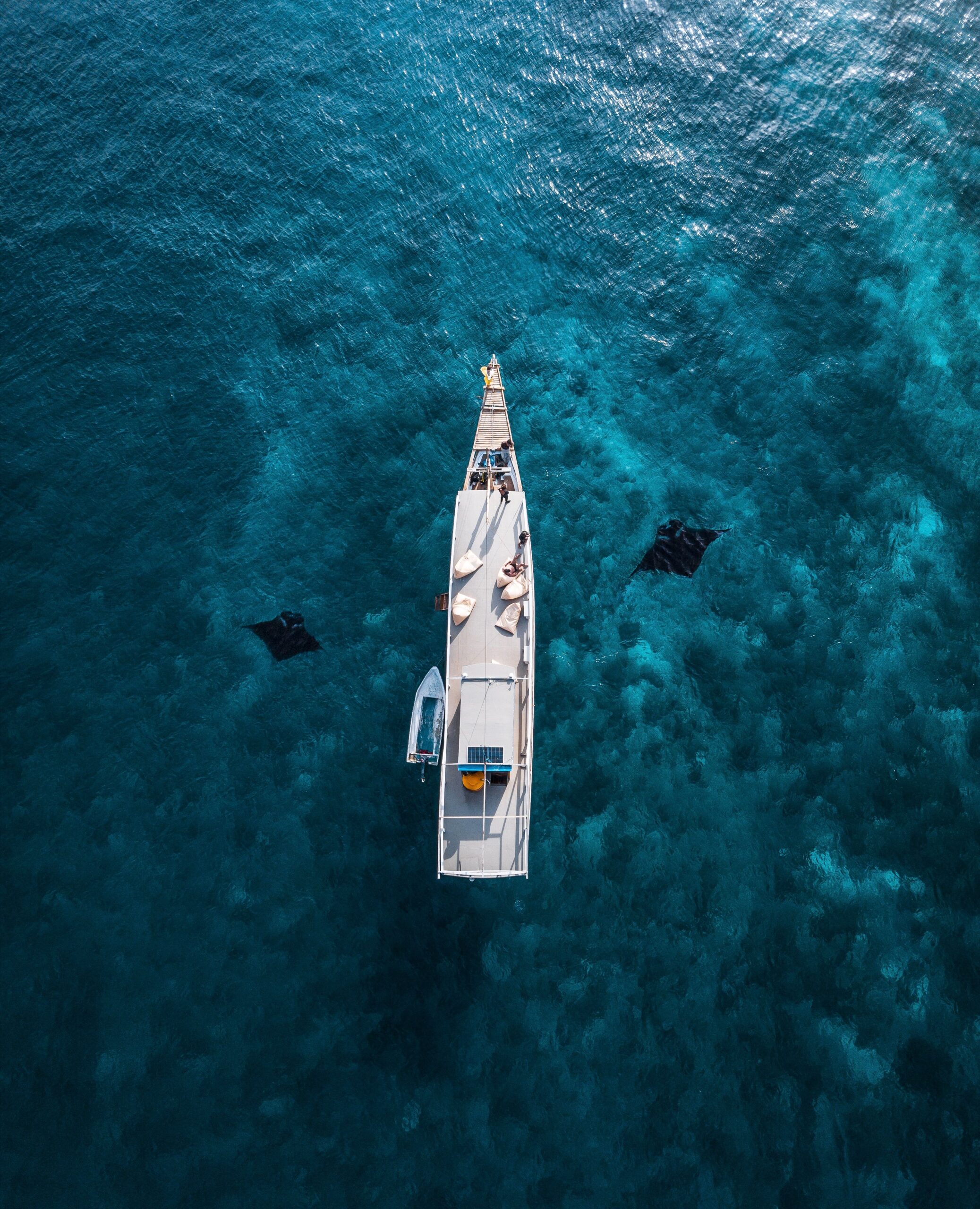 Manta rays aerial boat Yap Micronesia