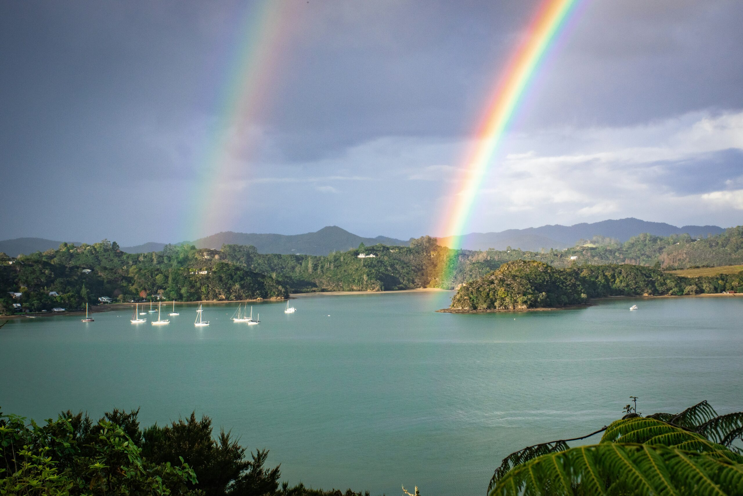 Bay of Islands New Zealand sailing